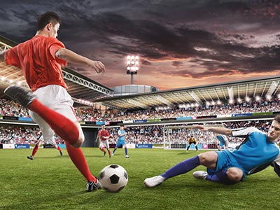 东南墨尔本凤凰